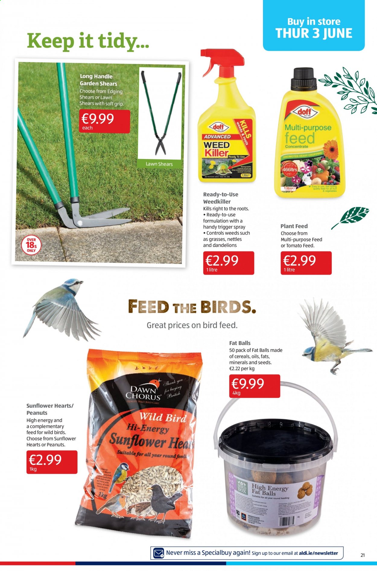 Aldi offer - 03.06.2021 - 09.06.2021. Page 21