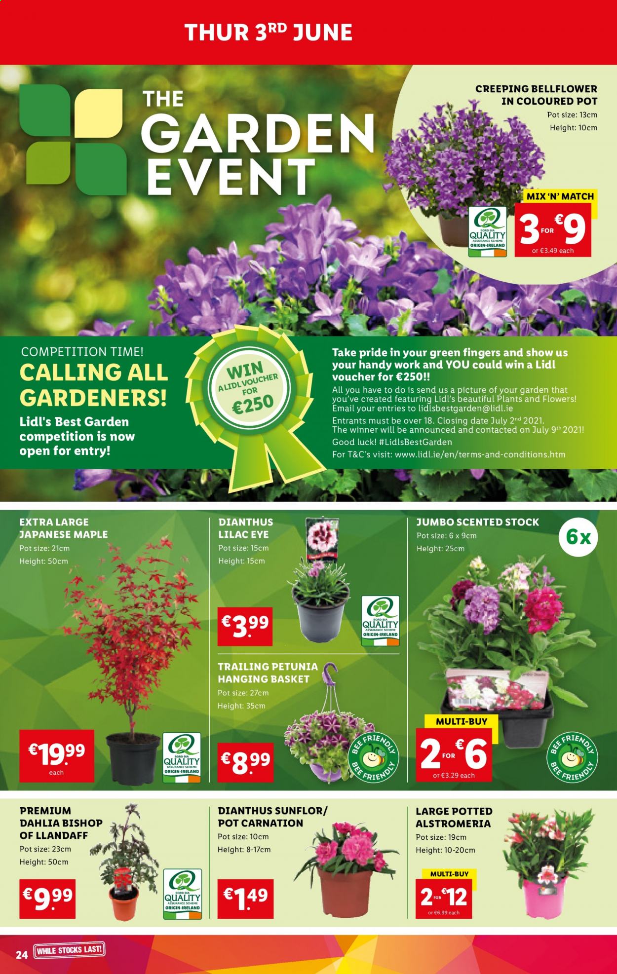 Lidl offer - 03.06.2021 - 09.06.2021. Page 24