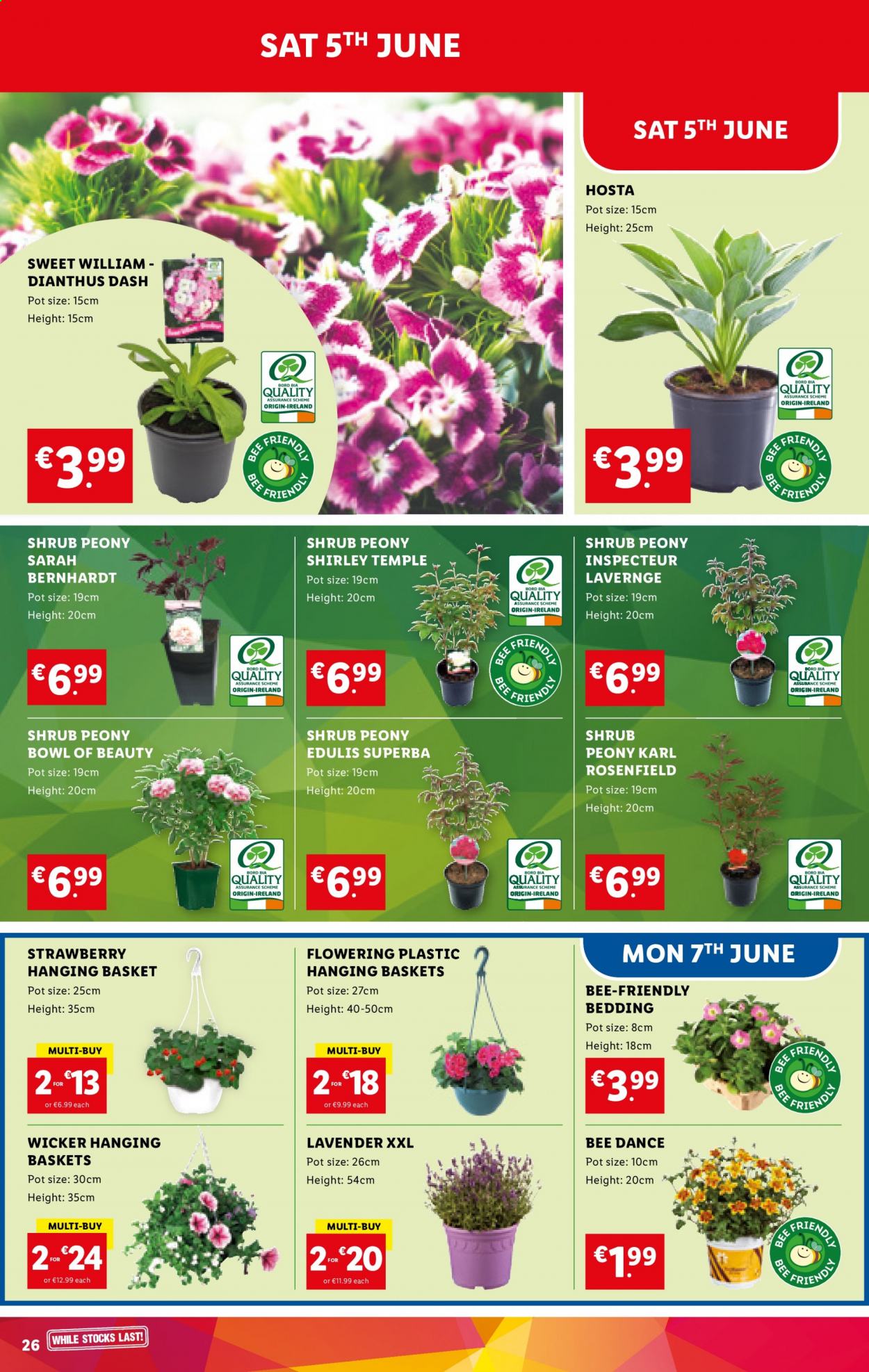 Lidl offer - 03.06.2021 - 09.06.2021. Page 26