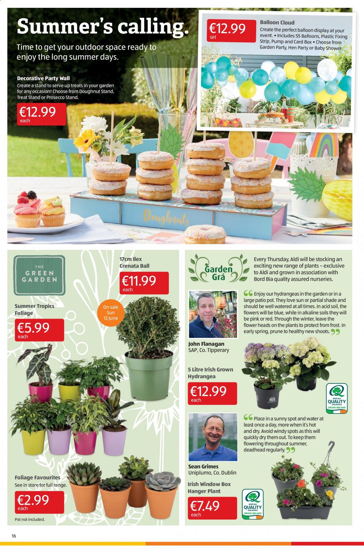 thumbnail - Aldi offer  - 10.06.2021 - 16.06.2021 - Sales products - donut, hanger, pot, balloons. Page 16.