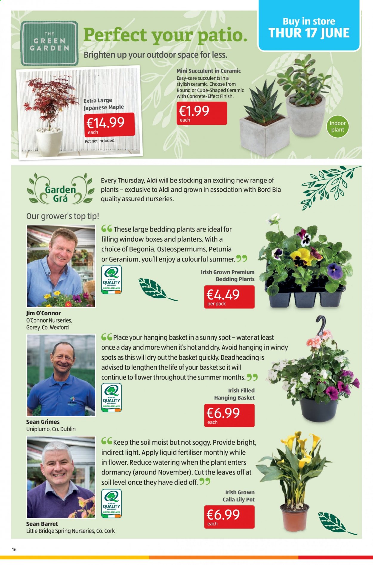 Aldi offer - 17.06.2021 - 23.06.2021. Page 16