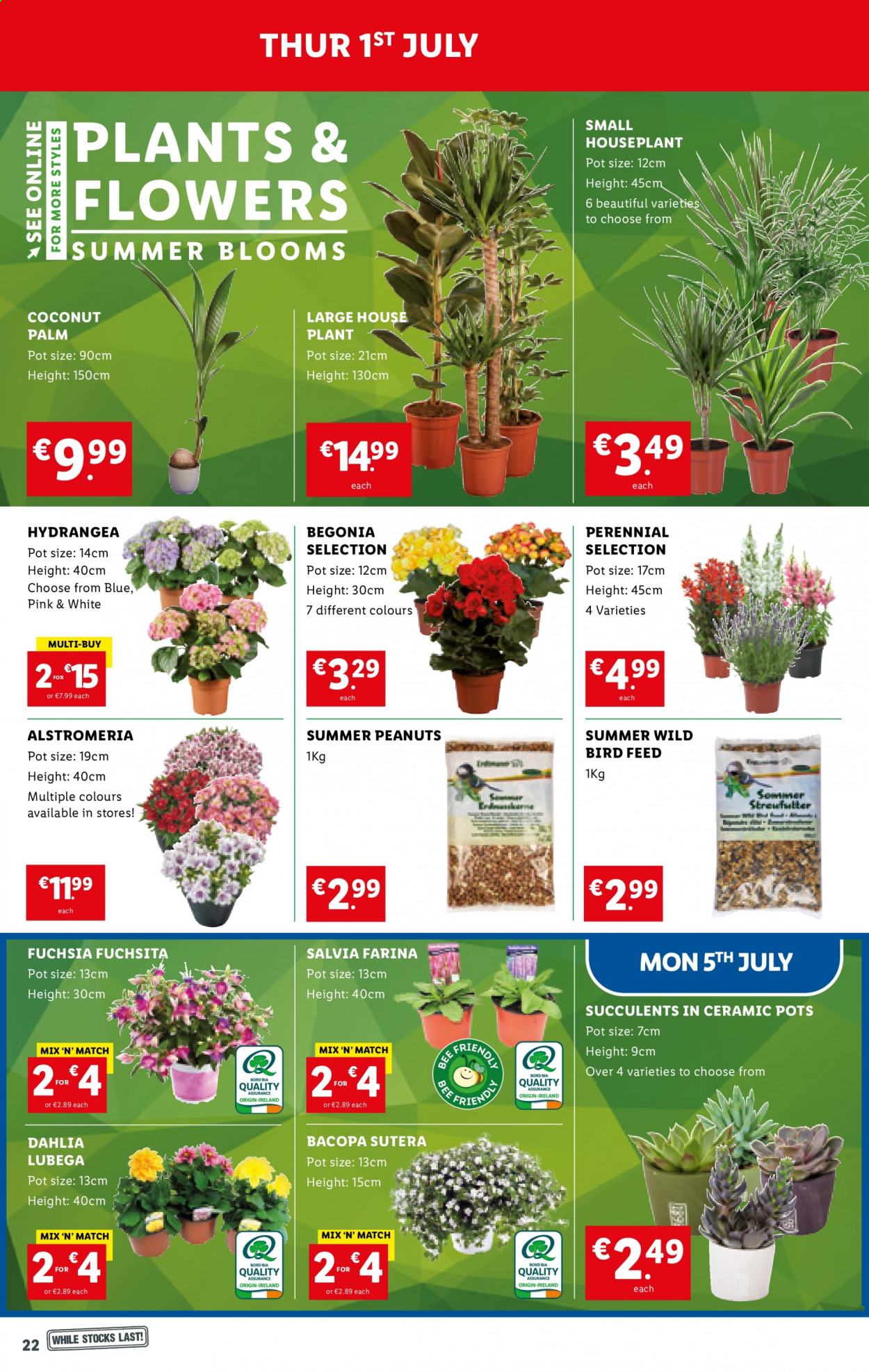 Lidl offer - 01.07.2021 - 07.07.2021. Page 22