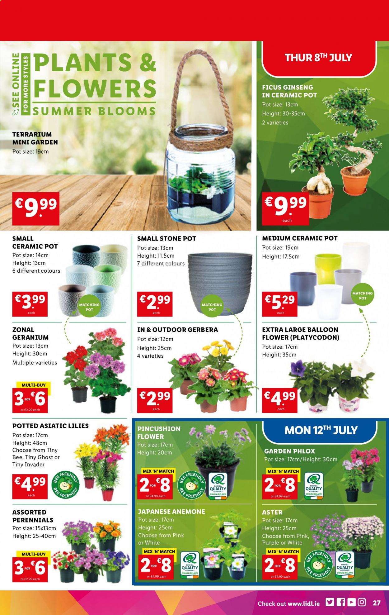 Lidl offer - 08.07.2021 - 14.07.2021. Page 27