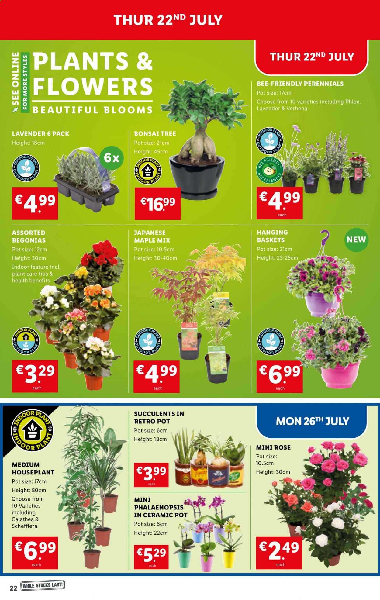 Lidl offer - 22.07.2021 - 28.07.2021. Page 22