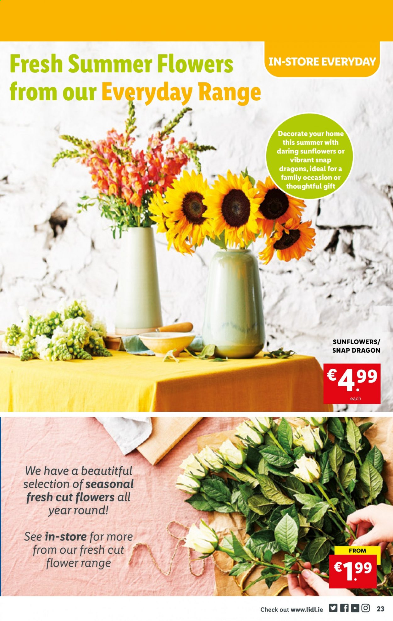 Lidl offer - 22.07.2021 - 28.07.2021. Page 23