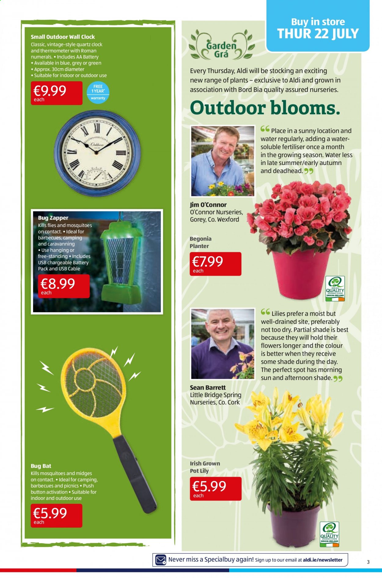 thumbnail - Aldi offer  - 22.07.2021 - 28.07.2021 - Sales products - thermometer, pot, begonia. Page 3.