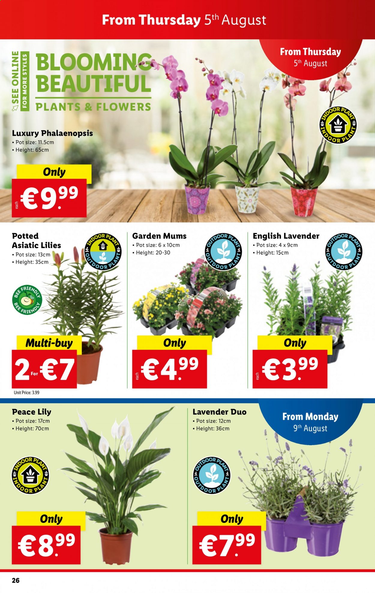 Lidl offer - 05.08.2021 - 11.08.2021. Page 26