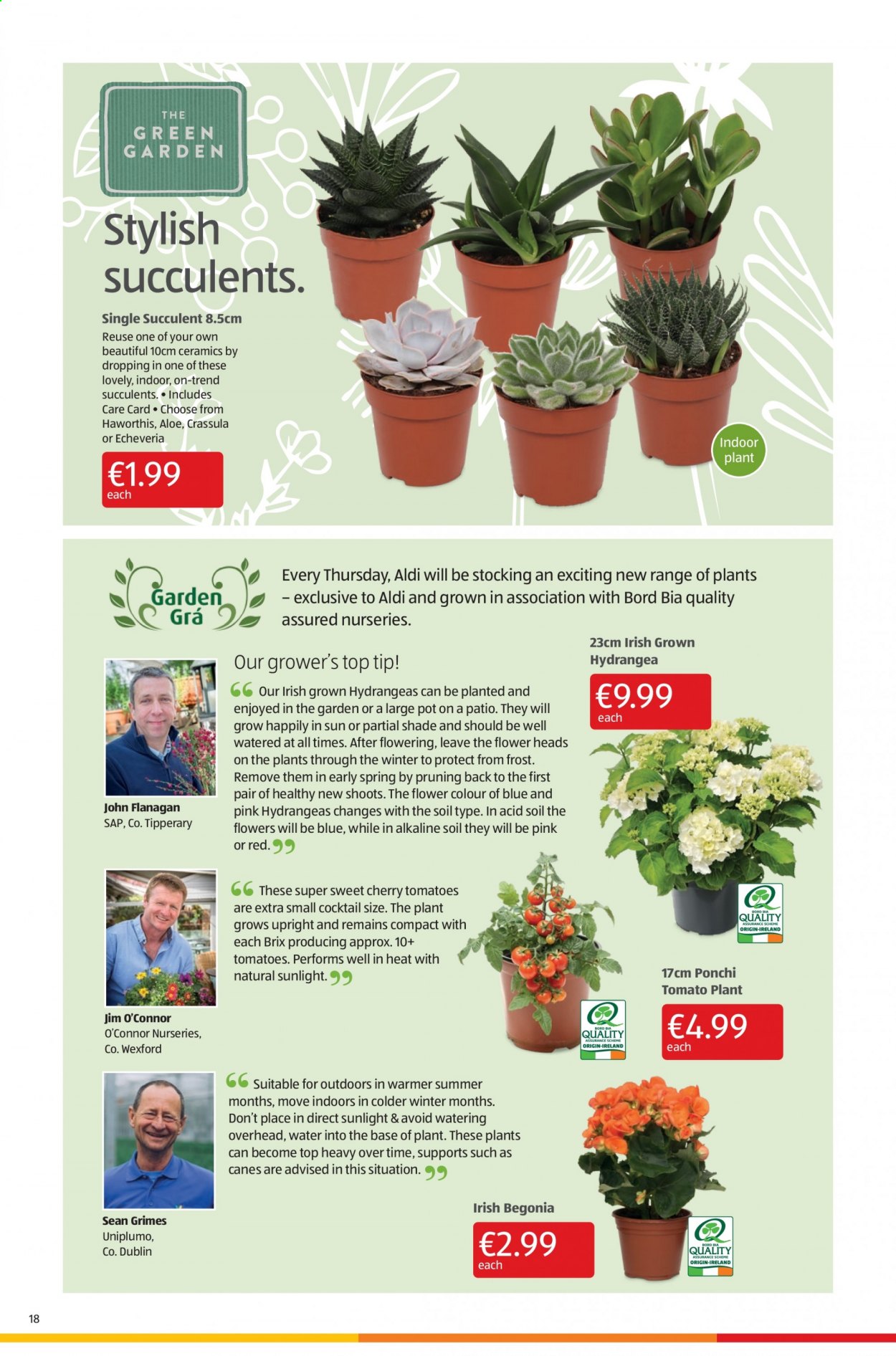 Aldi offer - 19.08.2021 - 25.08.2021. Page 18