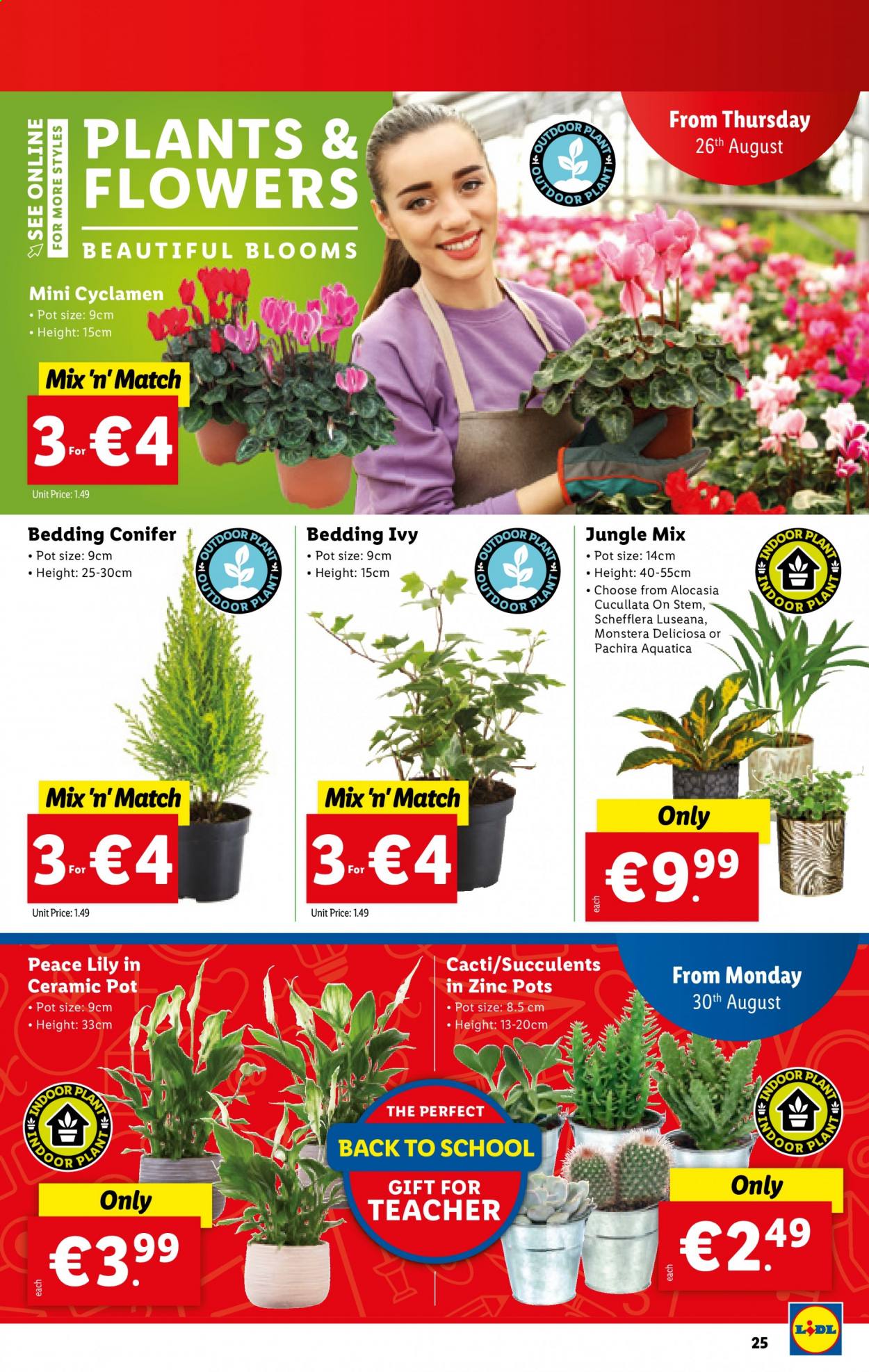 Lidl offer - 26.08.2021 - 01.09.2021. Page 25