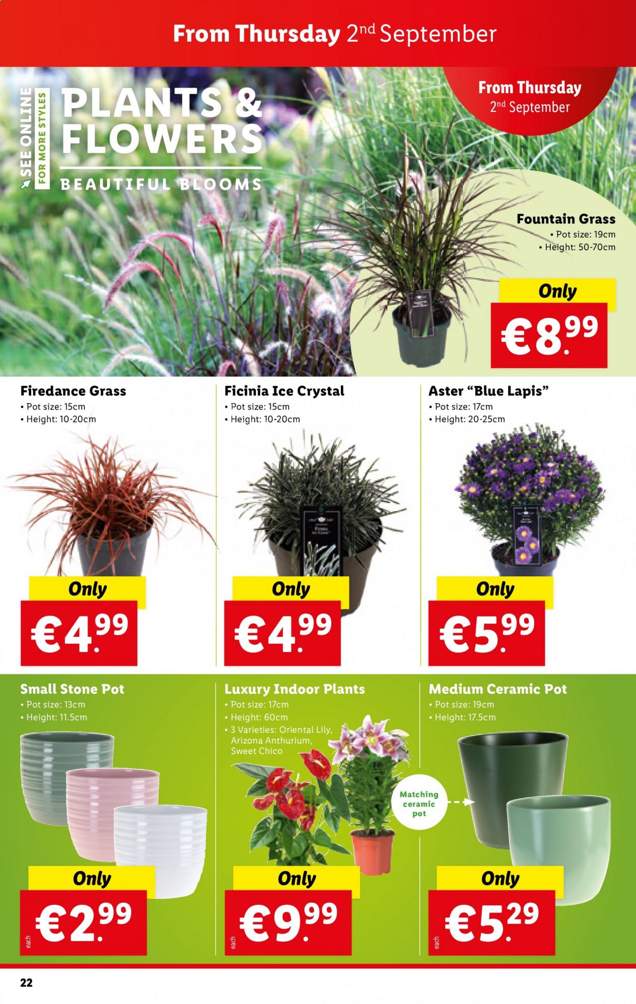 Lidl offer - 02.09.2021 - 08.09.2021. Page 22