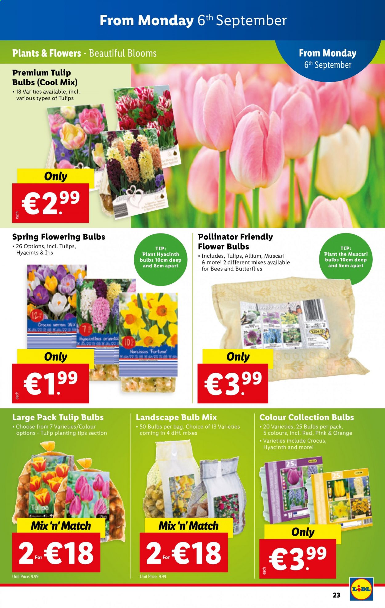 Lidl offer - 02.09.2021 - 08.09.2021. Page 23