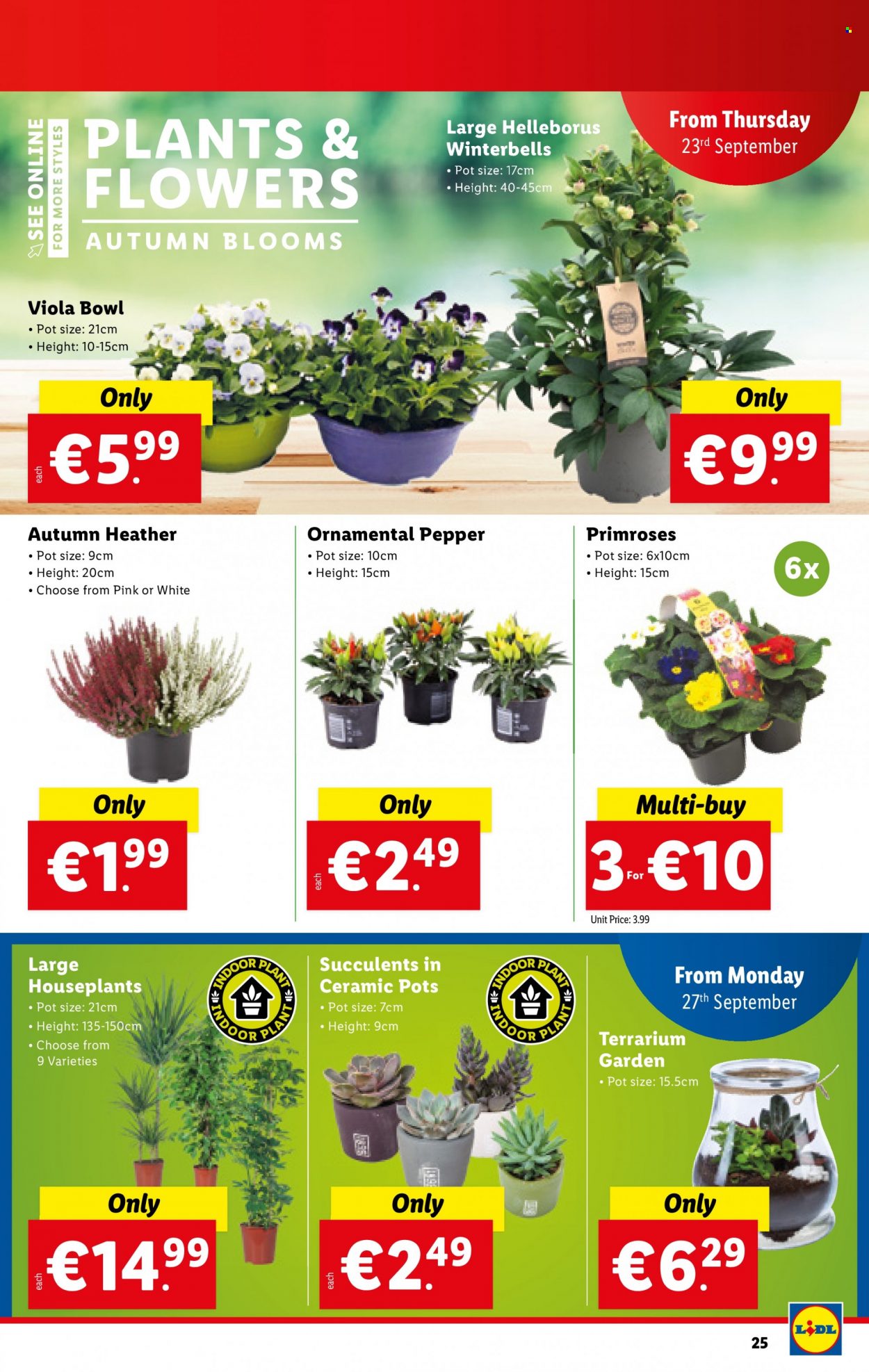Lidl offer - 23.09.2021 - 29.09.2021. Page 25