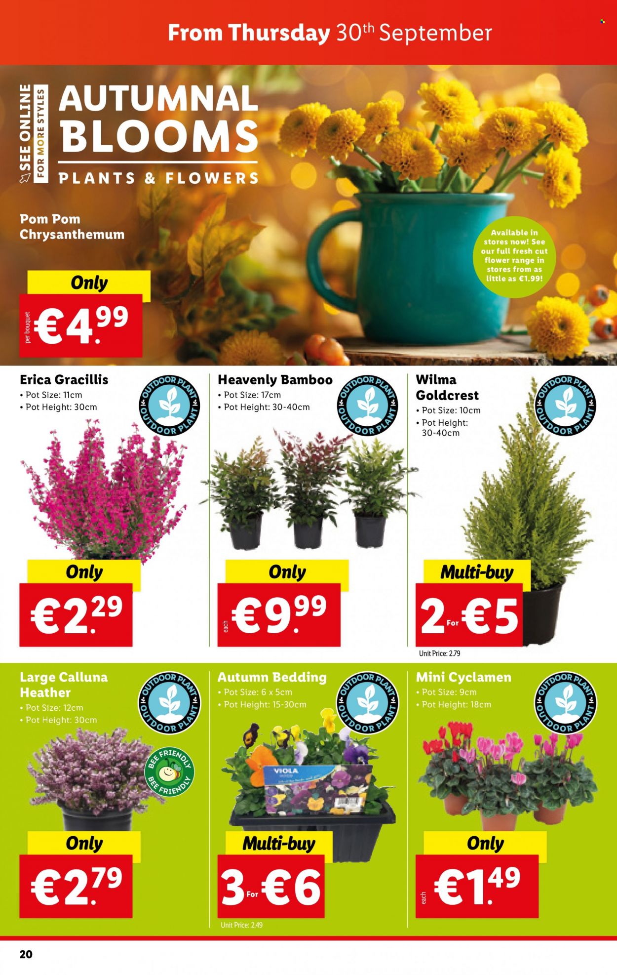 Lidl offer - 30.09.2021 - 06.10.2021. Page 20