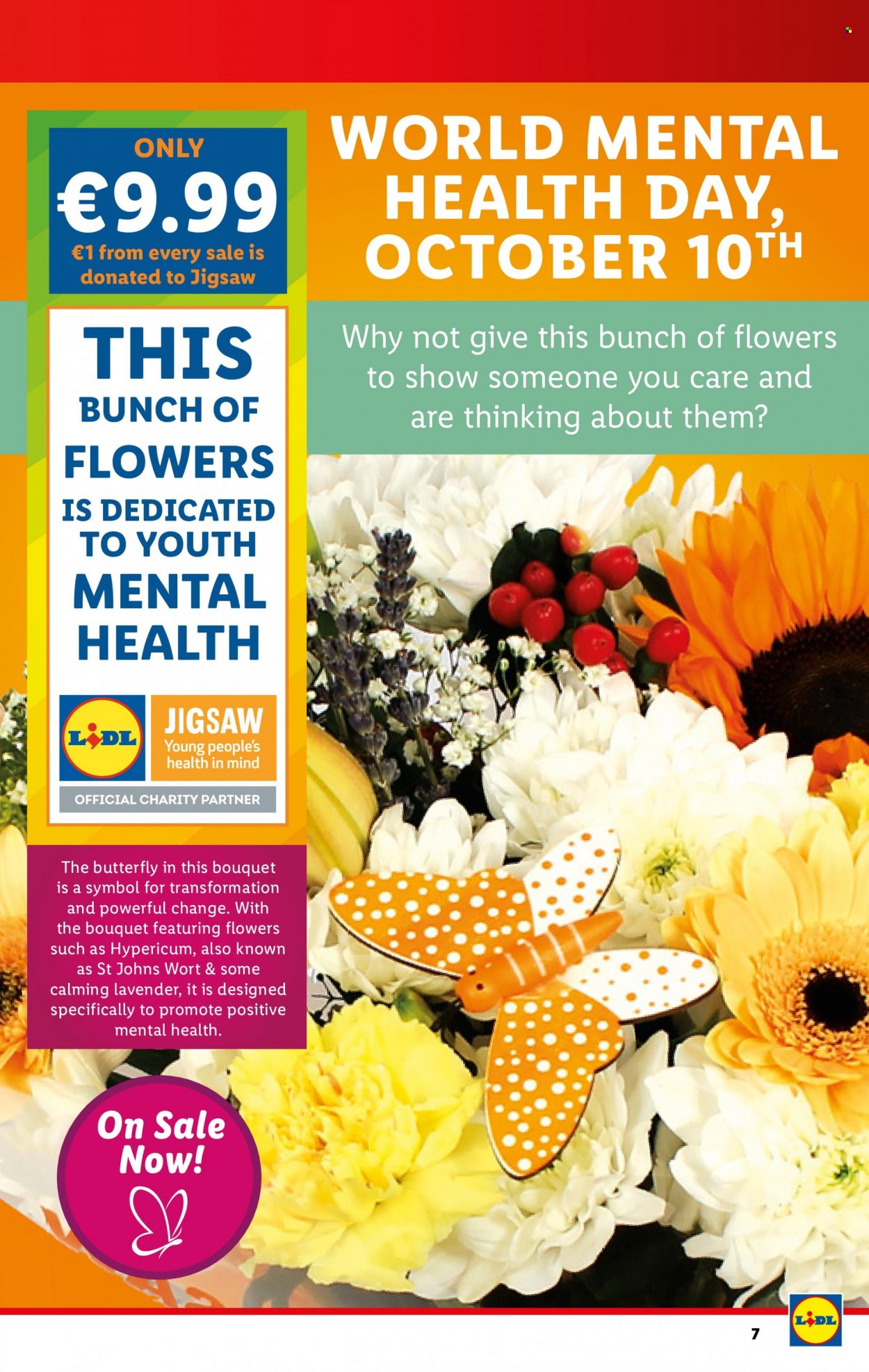 Lidl offer - 07.10.2021 - 13.10.2021. Page 7