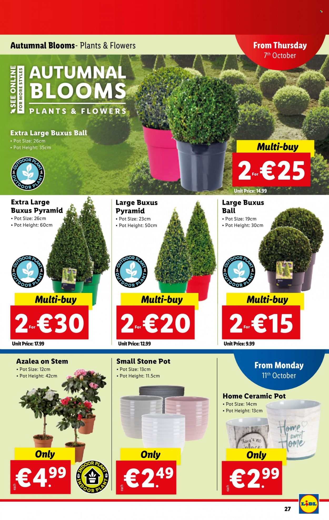 Lidl offer - 07.10.2021 - 13.10.2021. Page 27