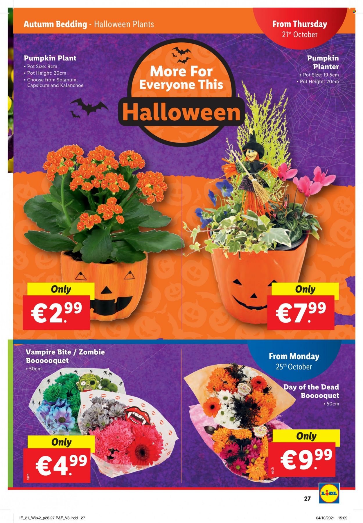 thumbnail - Lidl offer  - 21.10.2021 - 27.10.2021 - Sales products - Halloween, pumpkin, capsicum, pot, bedding, Zombie. Page 27.