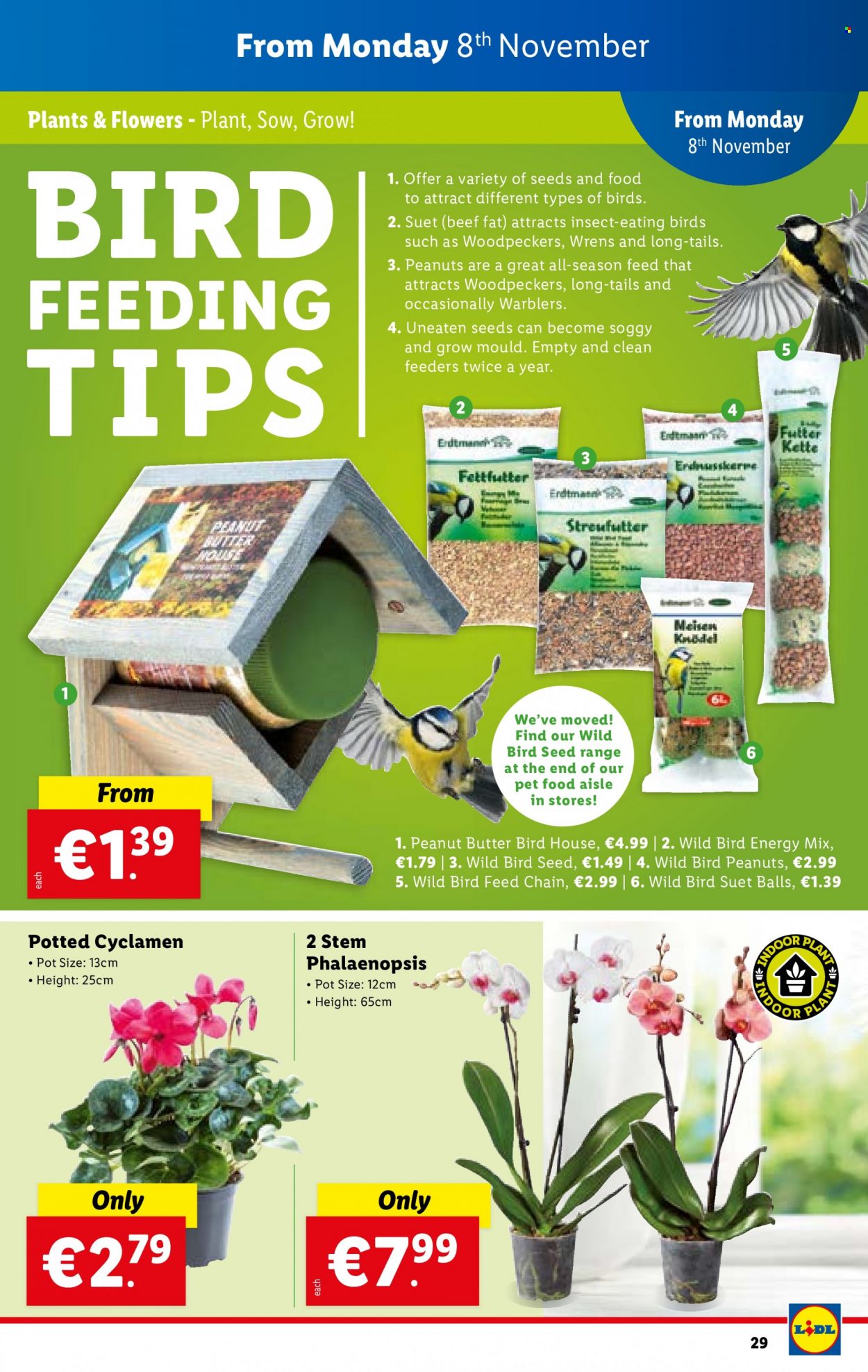 thumbnail - Lidl offer  - 04.11.2021 - 10.11.2021 - Sales products - suet, peanut butter, peanuts, pot, birdhouse, animal food, bird food, plant seeds. Page 29.
