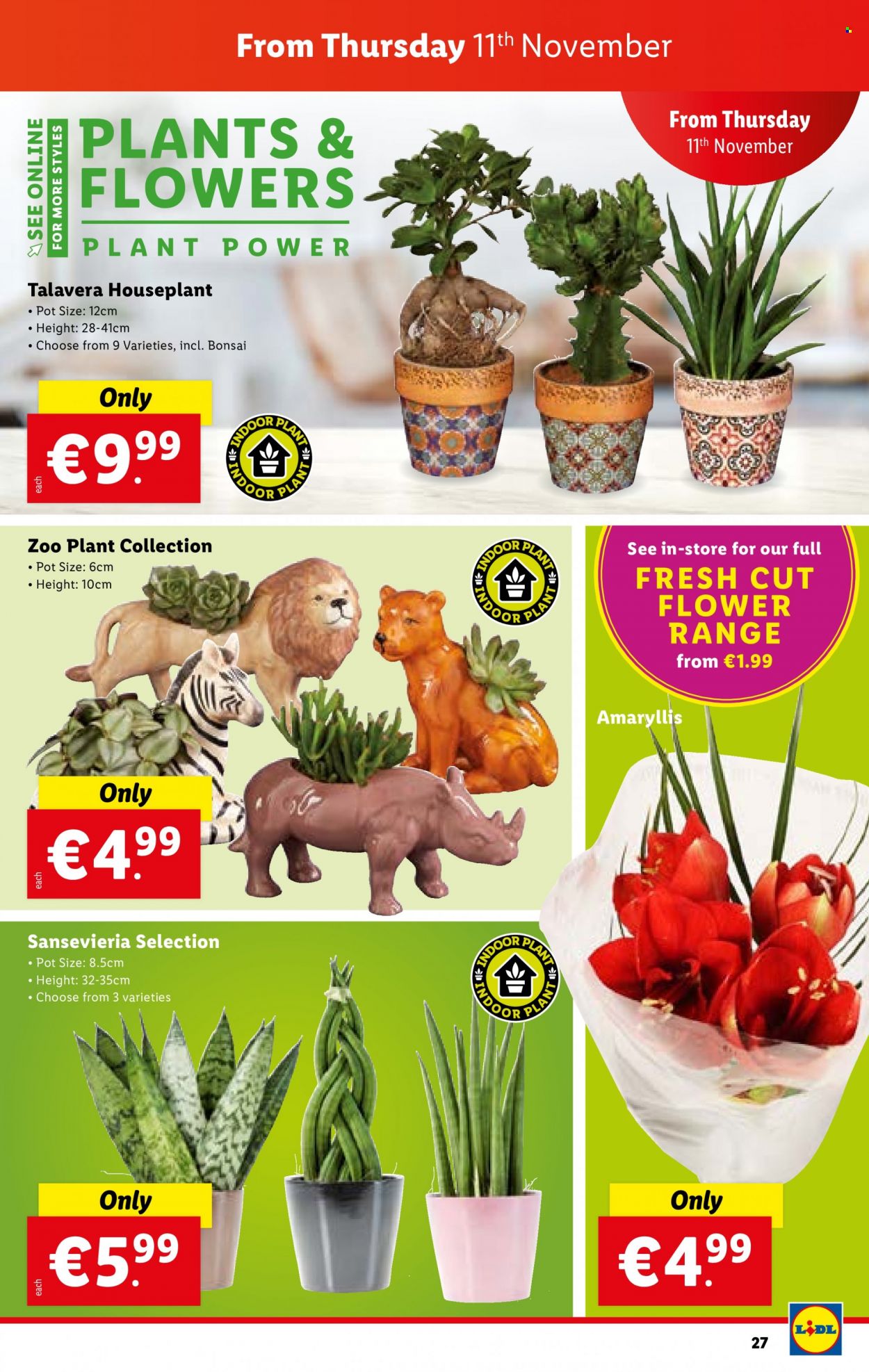Lidl offer - 11.11.2021 - 17.11.2021. Page 28