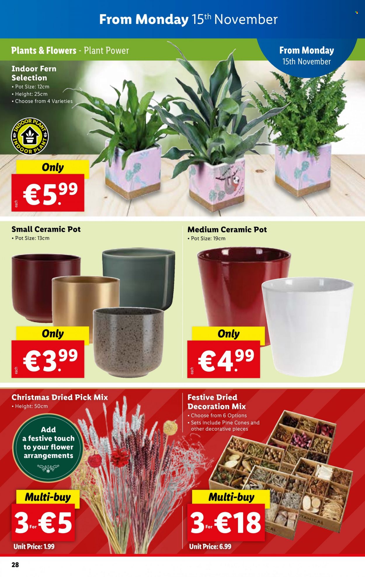 Lidl offer - 11.11.2021 - 17.11.2021. Page 29