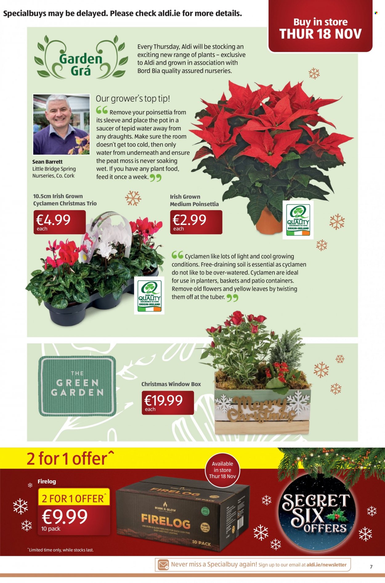 Aldi offer - 18.11.2021 - 24.11.2021. Page 7