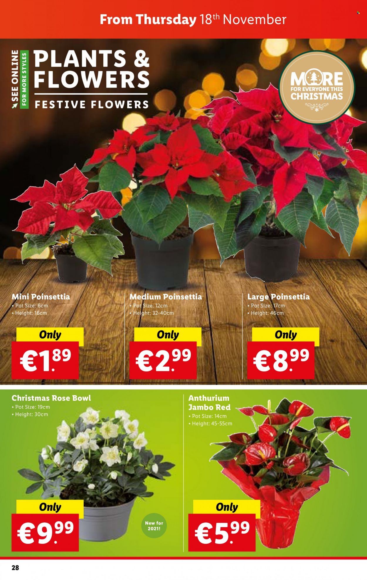 Lidl offer - 18.11.2021 - 24.11.2021. Page 28
