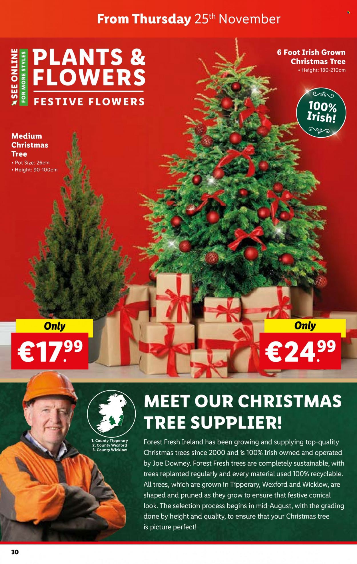 Lidl offer - 25.11.2021 - 01.12.2021. Page 30