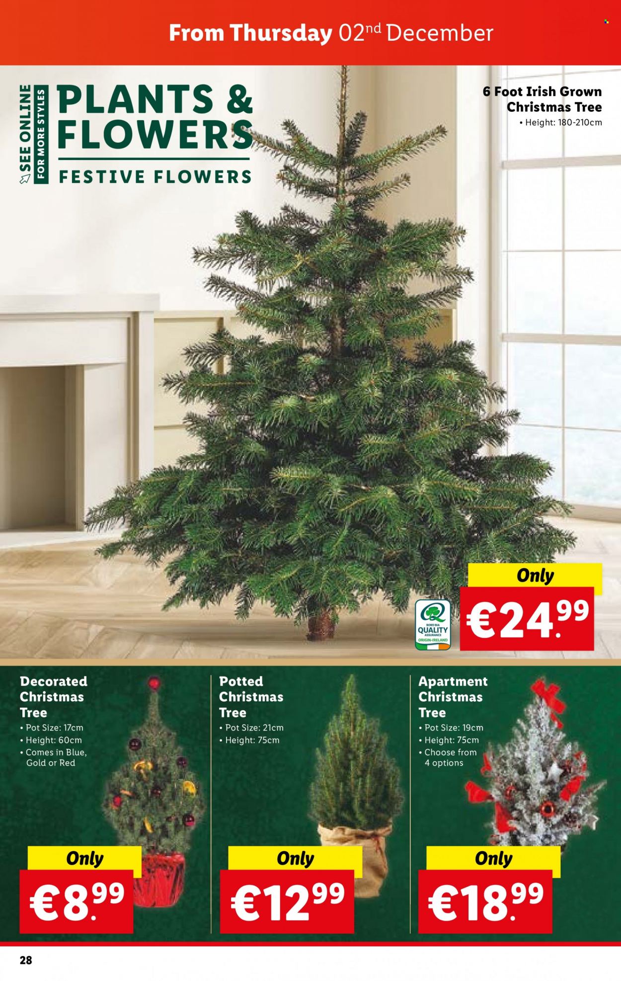 thumbnail - Lidl offer  - 02.12.2021 - 08.12.2021 - Sales products - christmas tree, pot. Page 28.