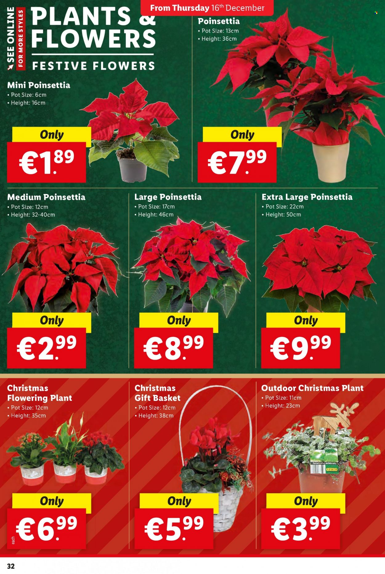 Lidl offer - 16.12.2021 - 24.12.2021. Page 32