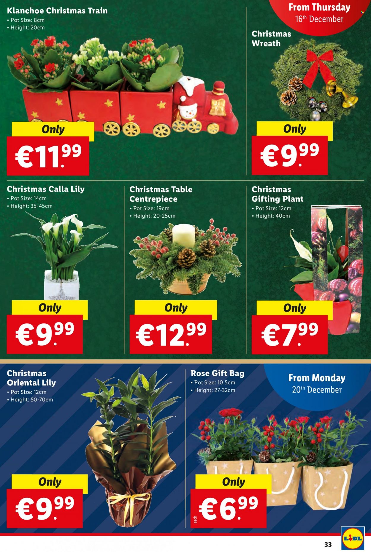 Lidl offer - 16.12.2021 - 24.12.2021. Page 33