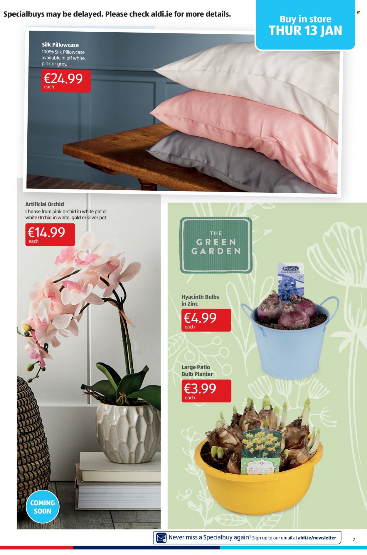thumbnail - Aldi offer  - 13.01.2022 - 19.01.2022 - Sales products - Silk, pot, bulb, pillowcase, hyacinth, zinc. Page 7.