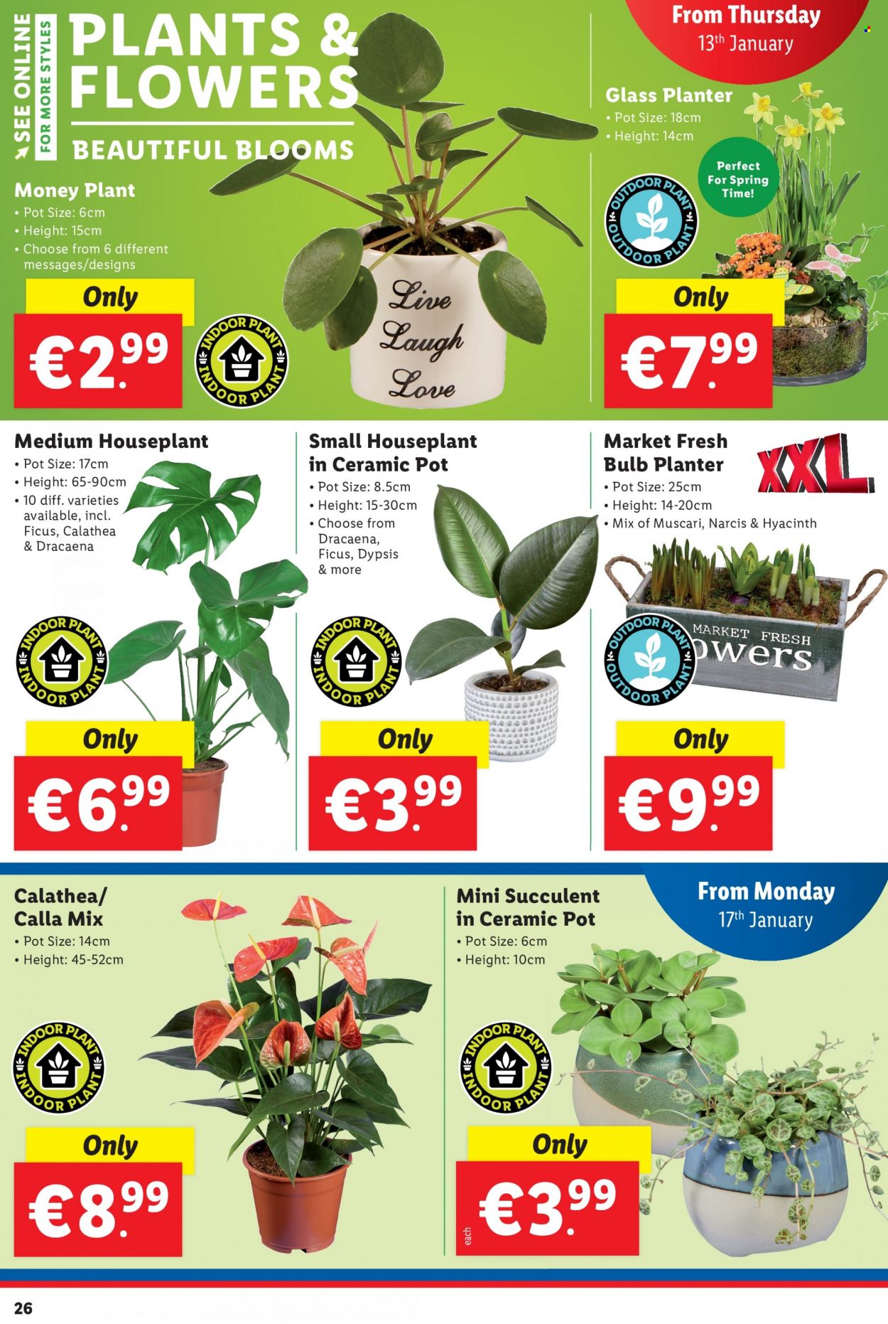 Lidl offer - 13.01.2022 - 19.01.2022. Page 26