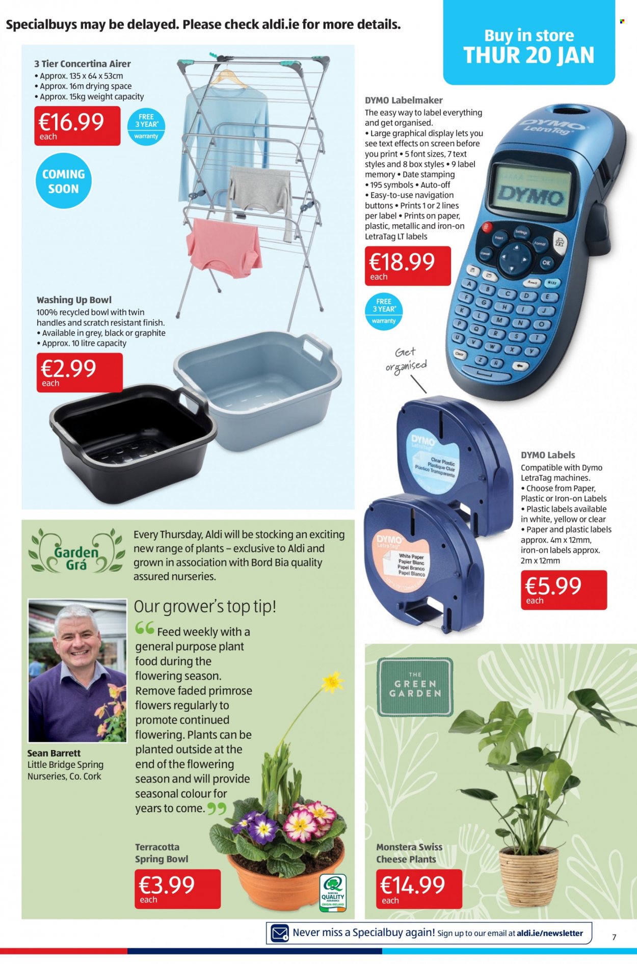 thumbnail - Aldi offer  - 20.01.2022 - 26.01.2022 - Sales products - swiss cheese, cheese, airer, bowl, paper, primroses. Page 7.