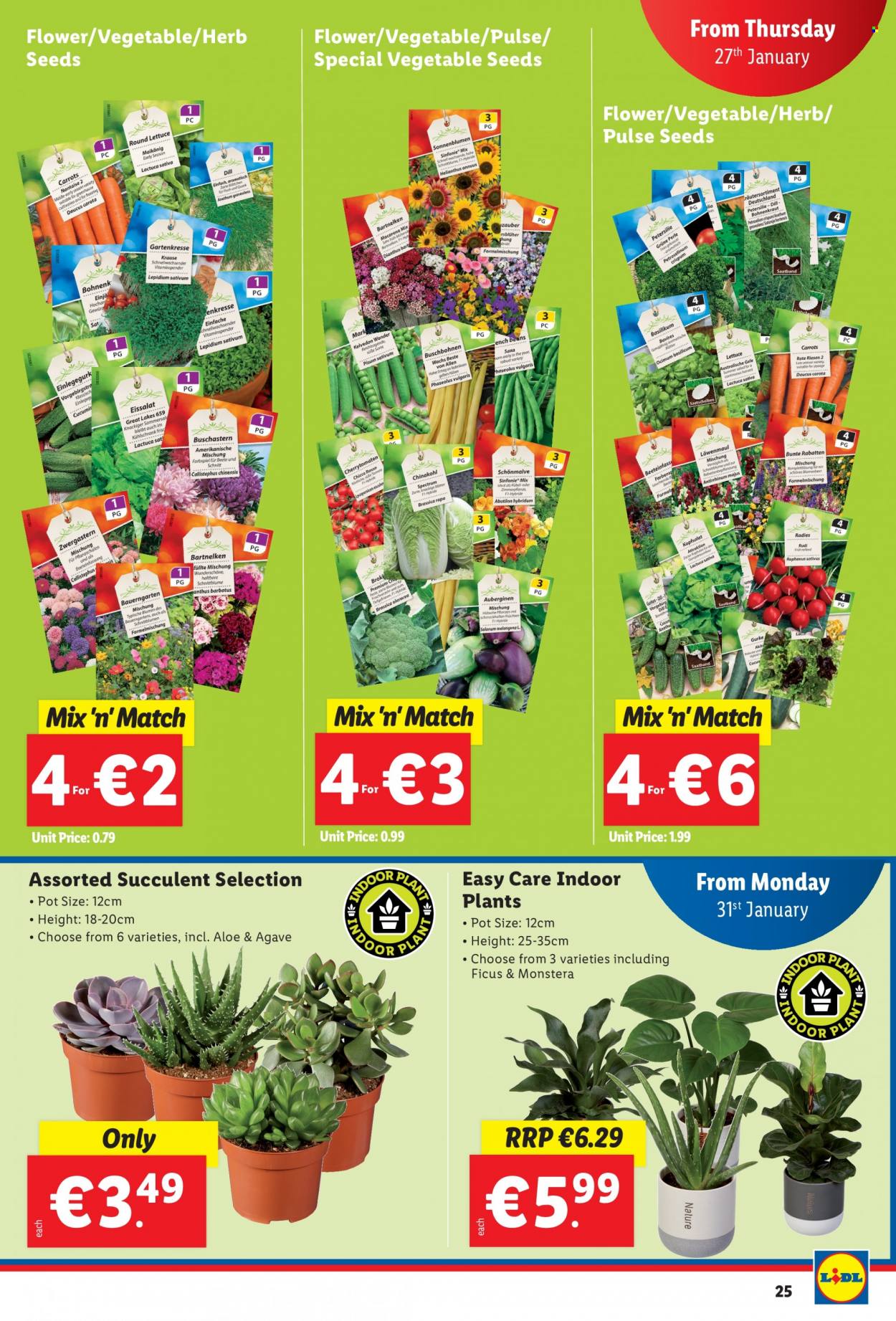 Lidl offer - 27.01.2022 - 02.02.2022. Page 25