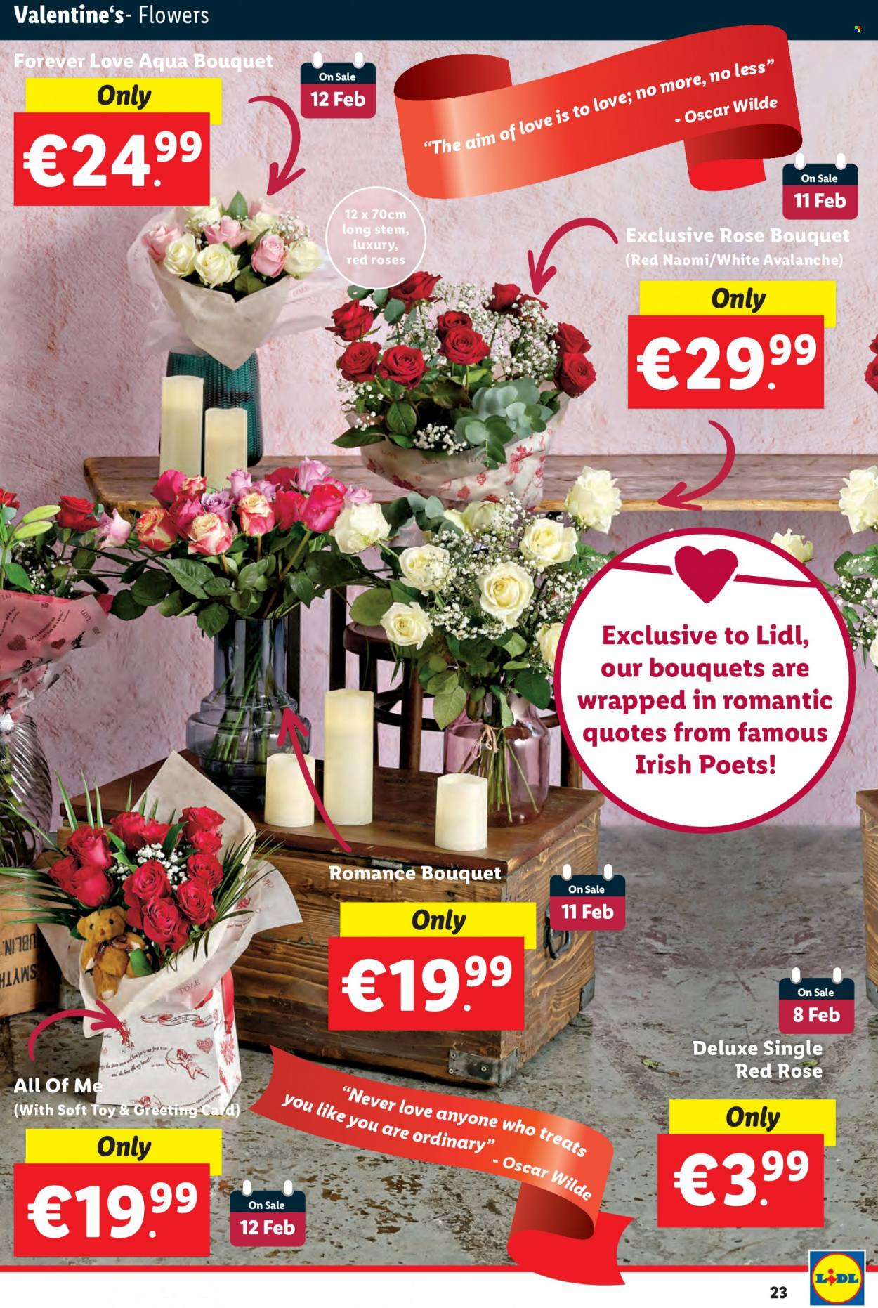 Lidl offer - 03.02.2022 - 09.02.2022. Page 23