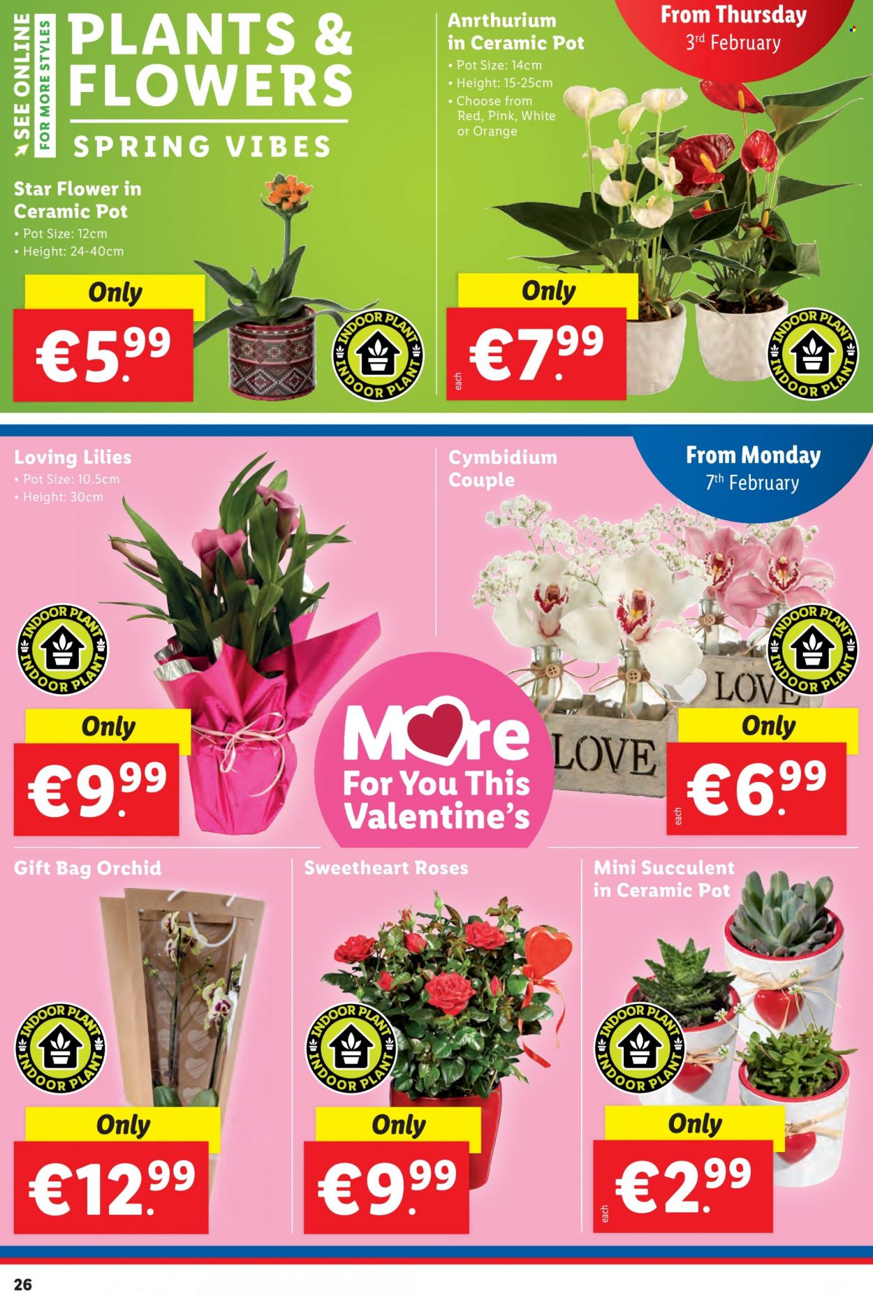 Lidl offer - 03.02.2022 - 09.02.2022. Page 26