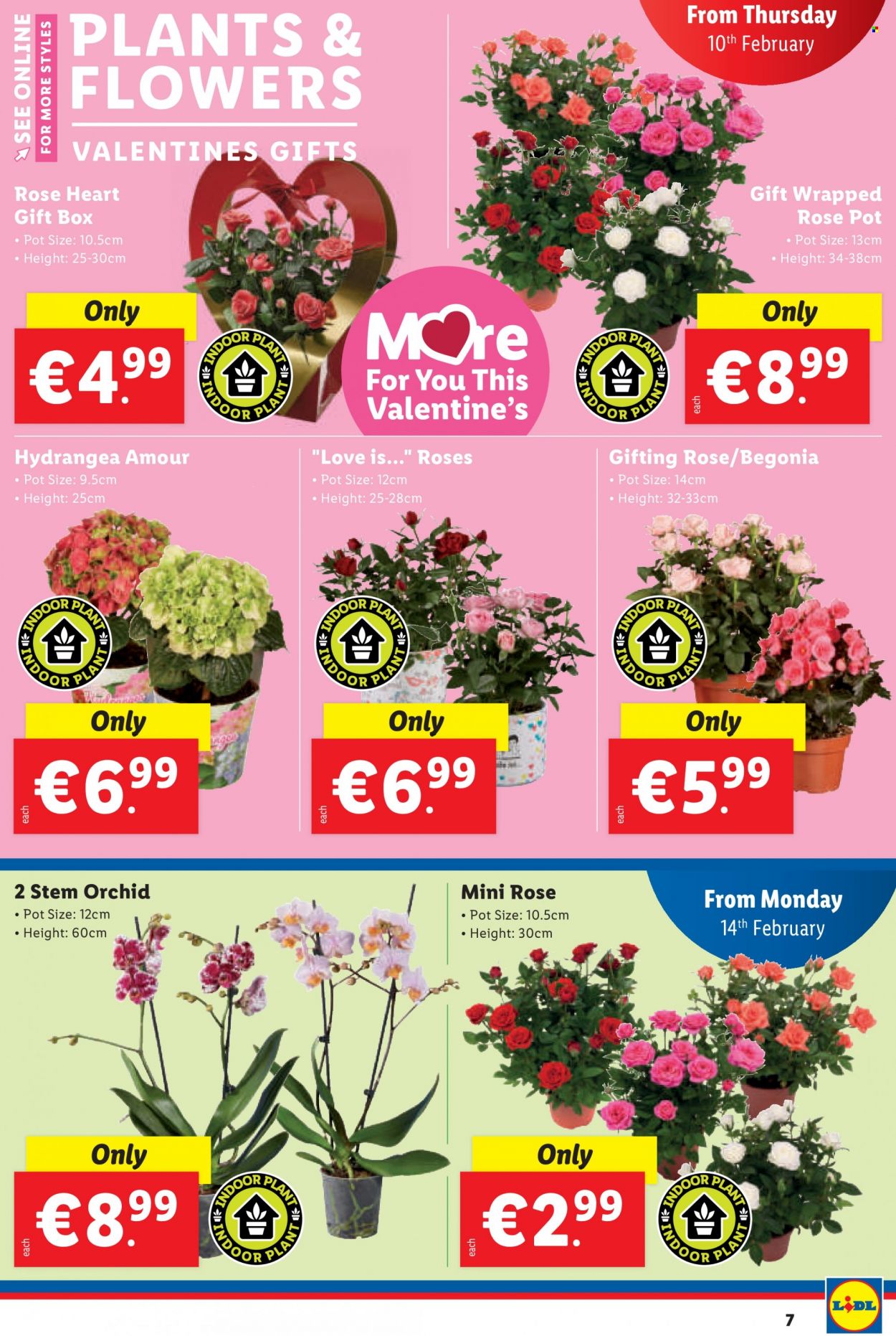 Lidl offer - 10.02.2022 - 16.02.2022. Page 7