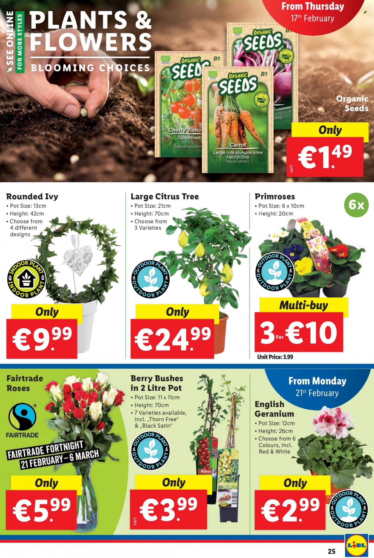 Lidl offer - 17.02.2022 - 23.02.2022. Page 25