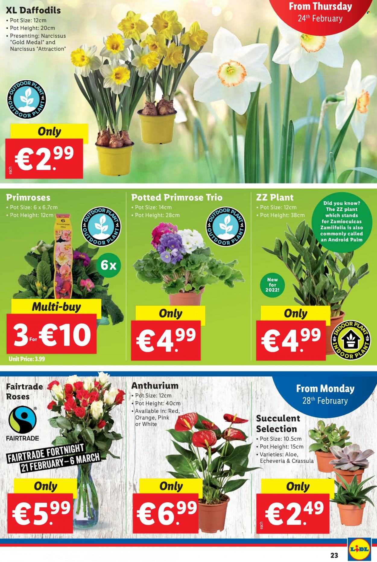 Lidl offer - 24.02.2022 - 02.03.2022. Page 23