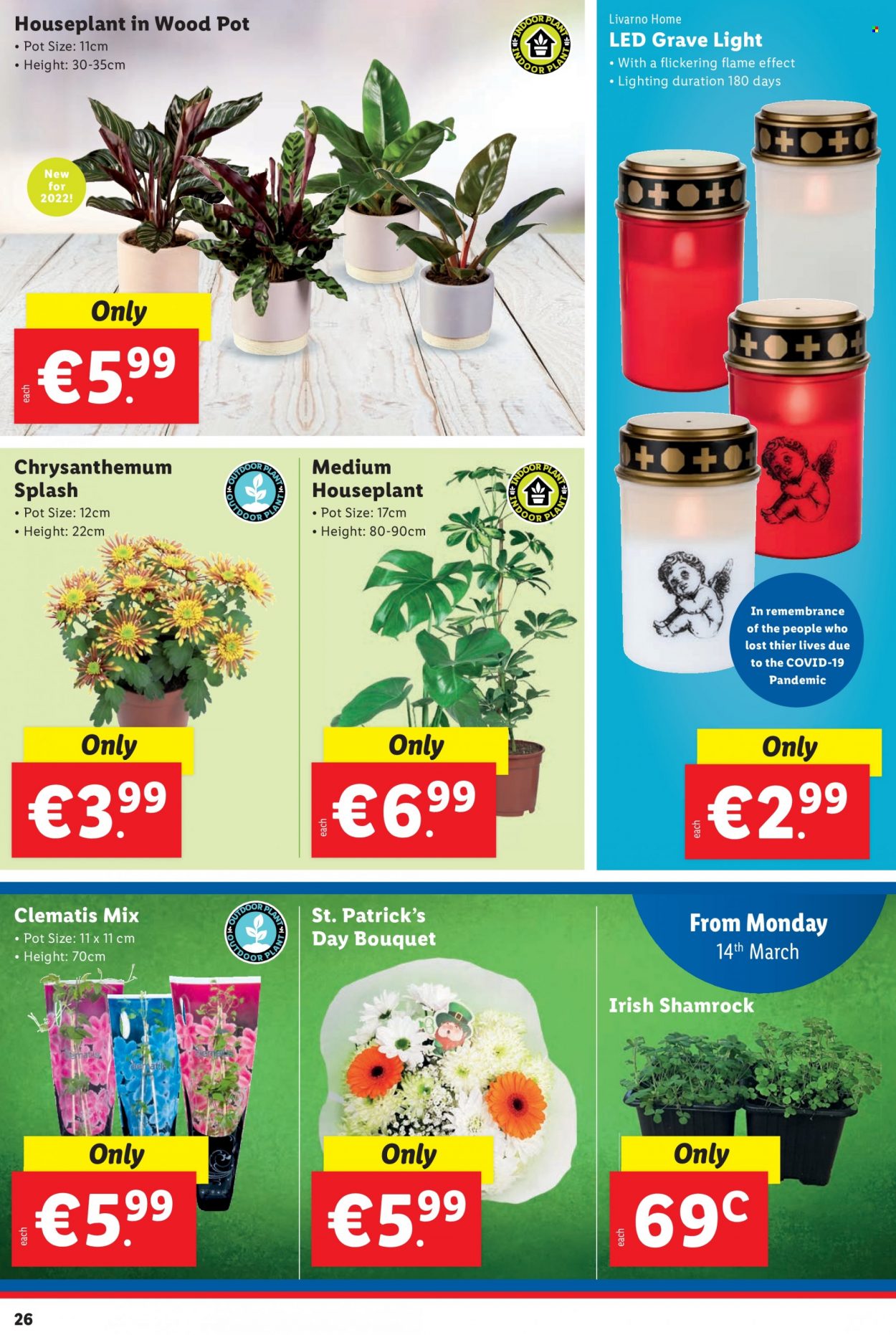 Lidl offer - 10.03.2022 - 15.03.2022. Page 26