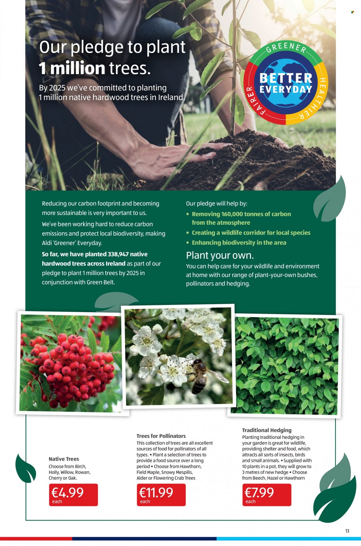 Aldi offer - 17.03.2022 - 23.03.2022. Page 13