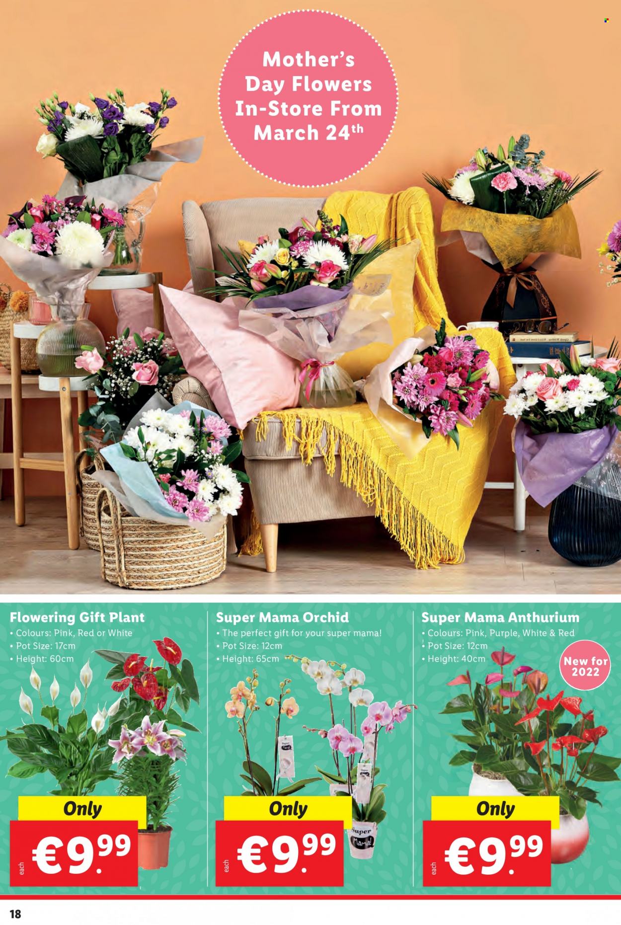 Lidl offer - 16.03.2022 - 23.03.2022. Page 18