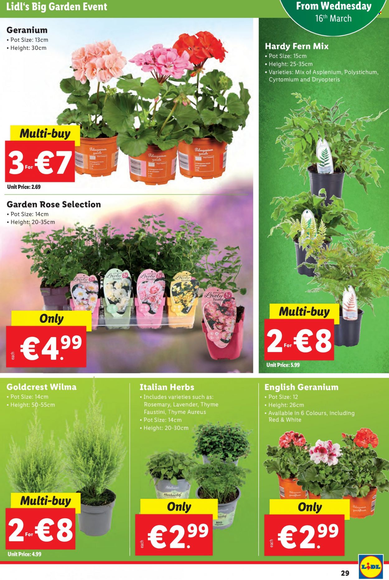 Lidl offer - 16.03.2022 - 23.03.2022. Page 29