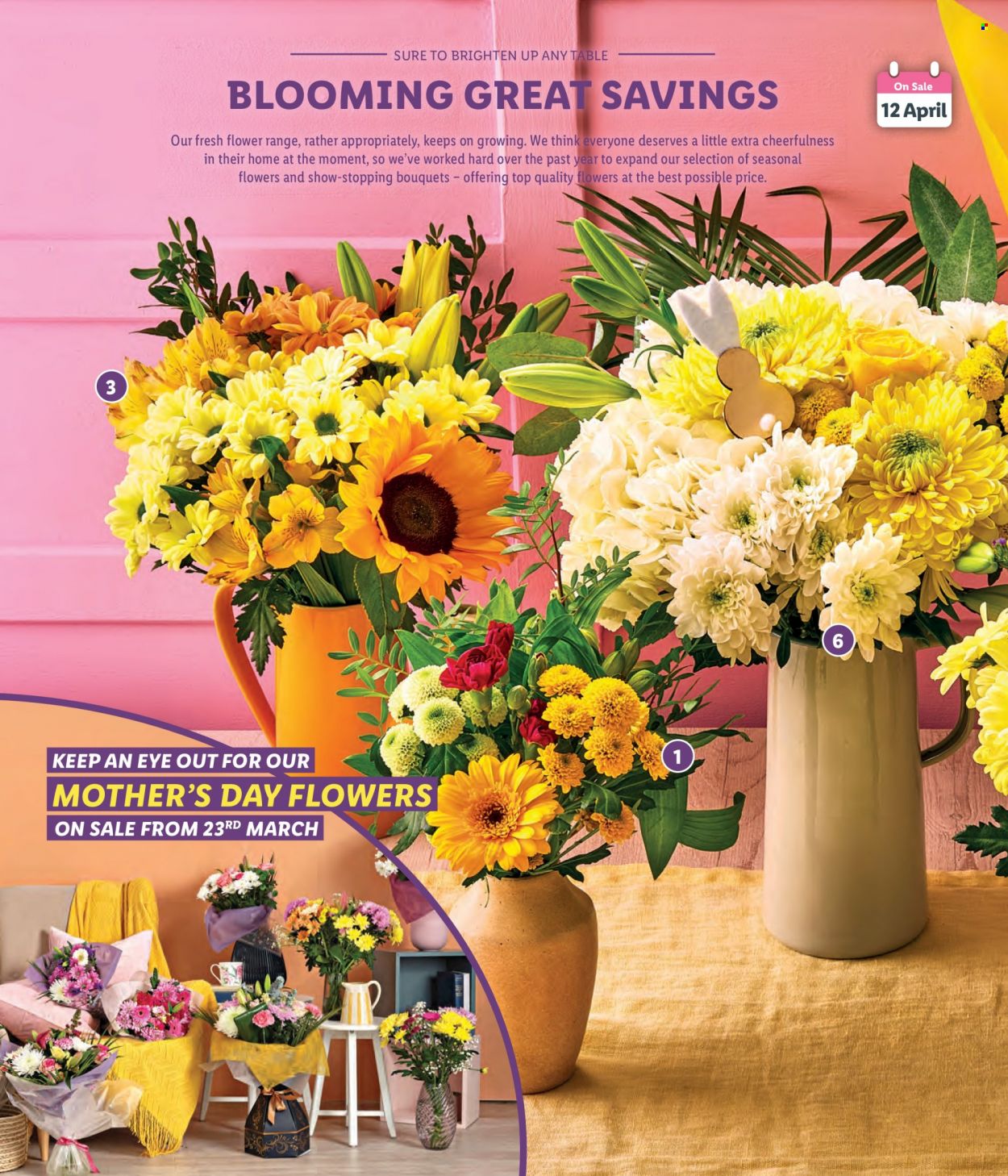 Lidl offer. Page 22