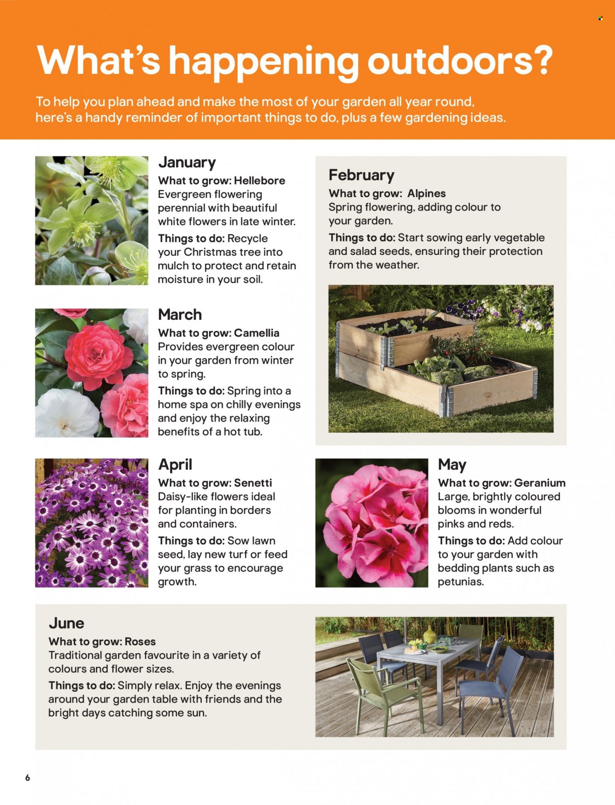 thumbnail - B&Q offer  - Sales products - table, christmas tree, bedding. Page 6.