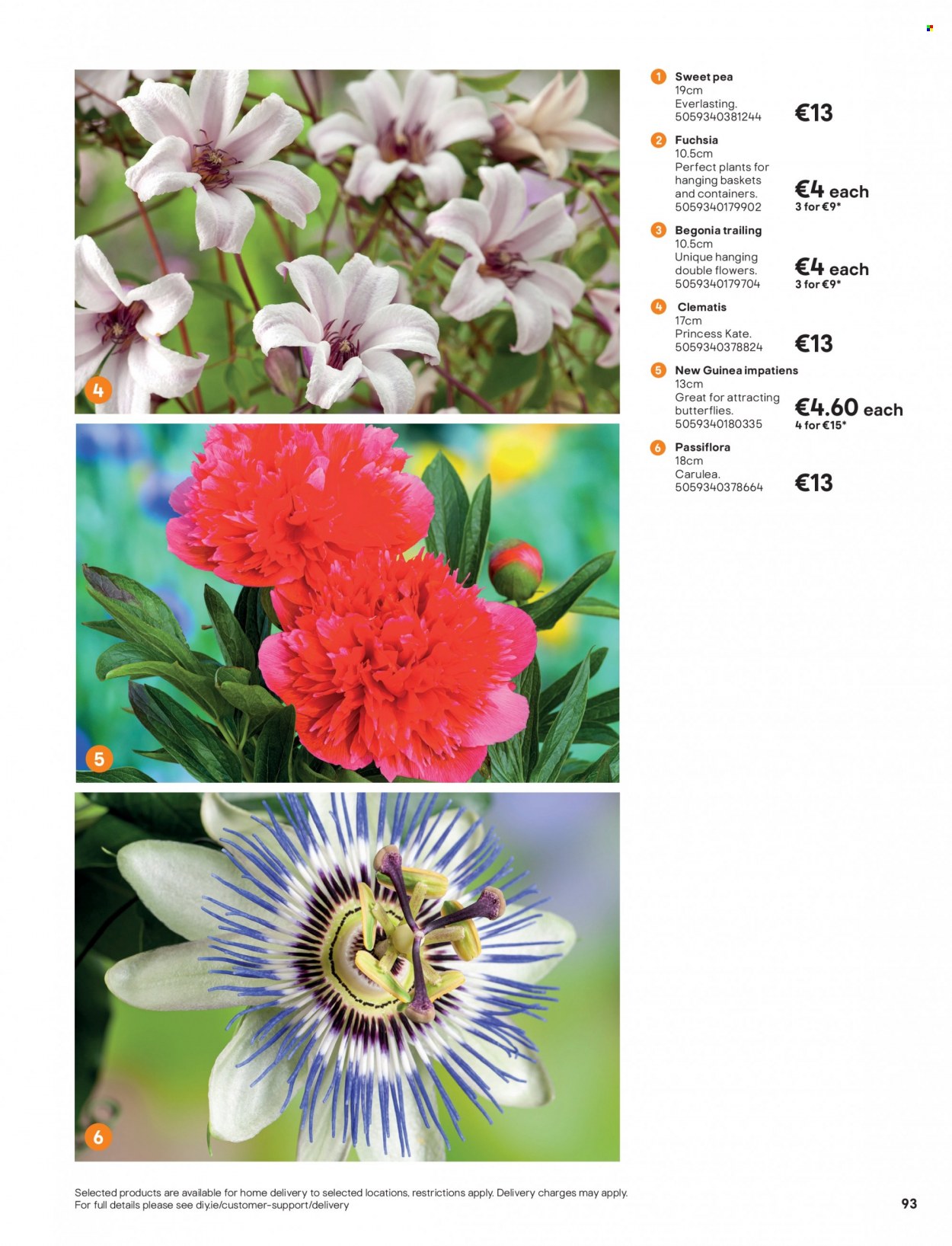thumbnail - B&Q offer  - Sales products - hanging basket. Page 93.