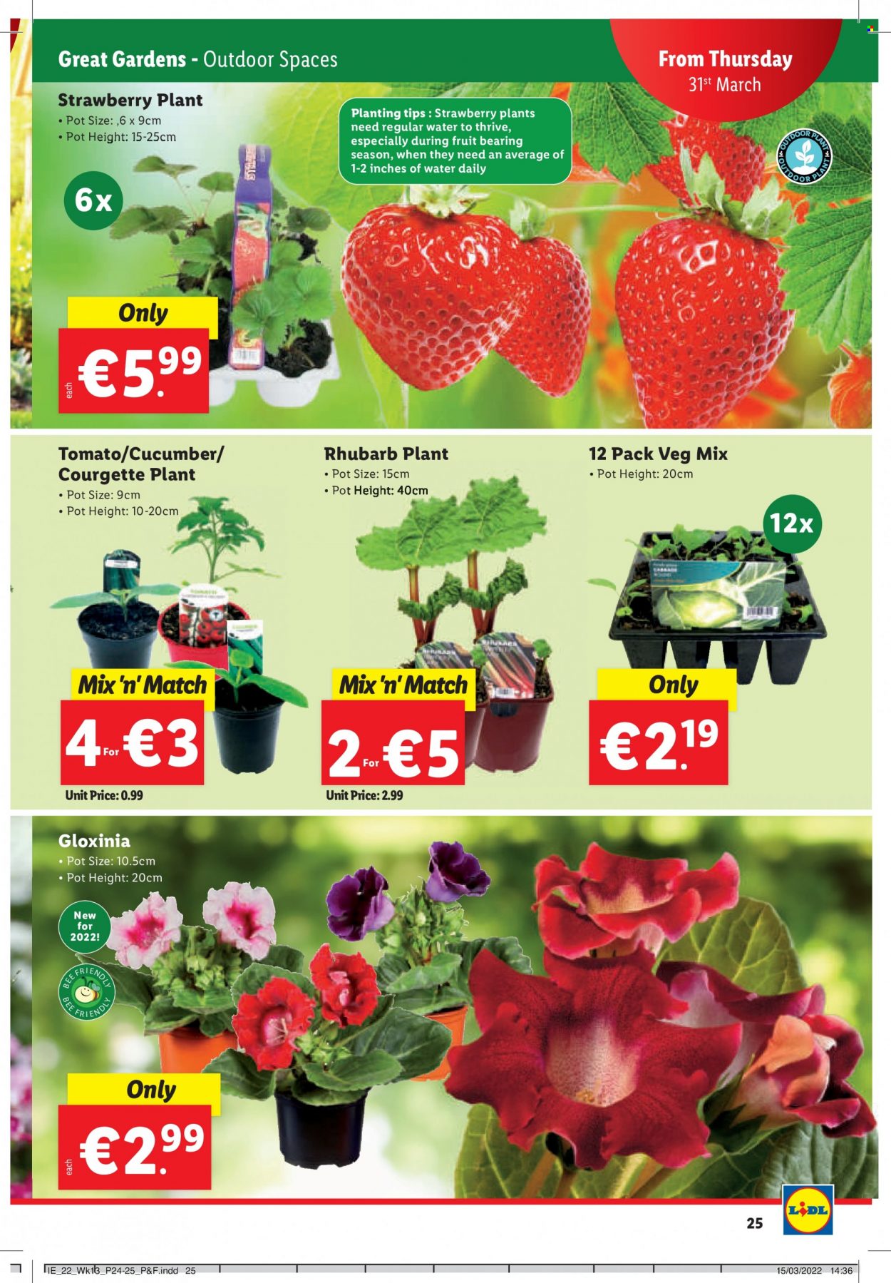 Lidl offer - 31.03.2022 - 06.04.2022. Page 25