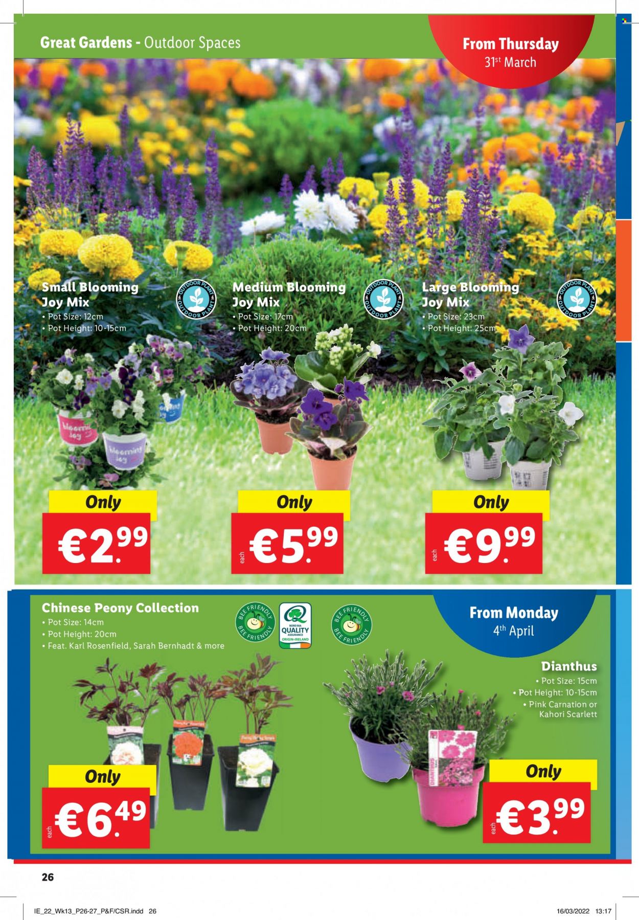 Lidl offer - 31.03.2022 - 06.04.2022. Page 26