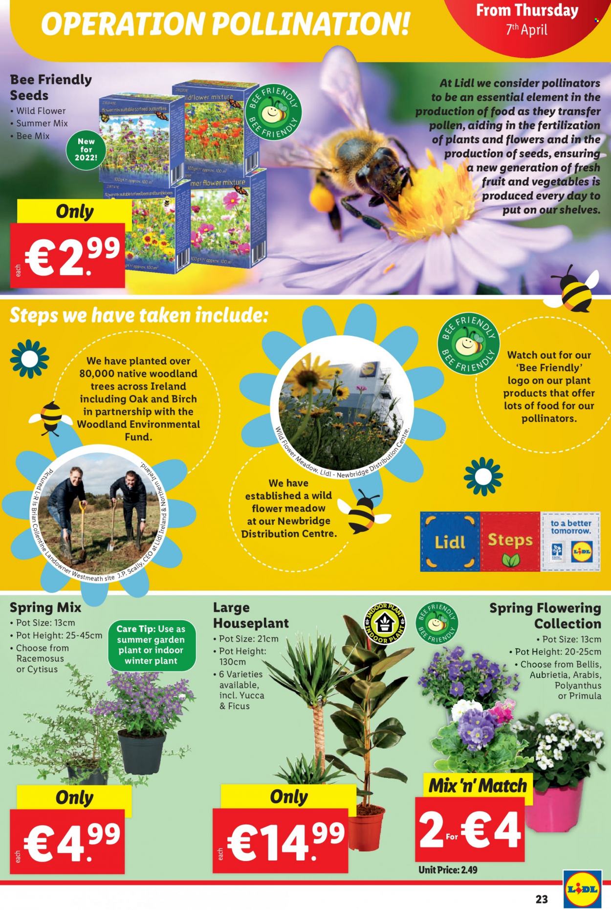 Lidl offer - 07.04.2022 - 13.04.2022. Page 23