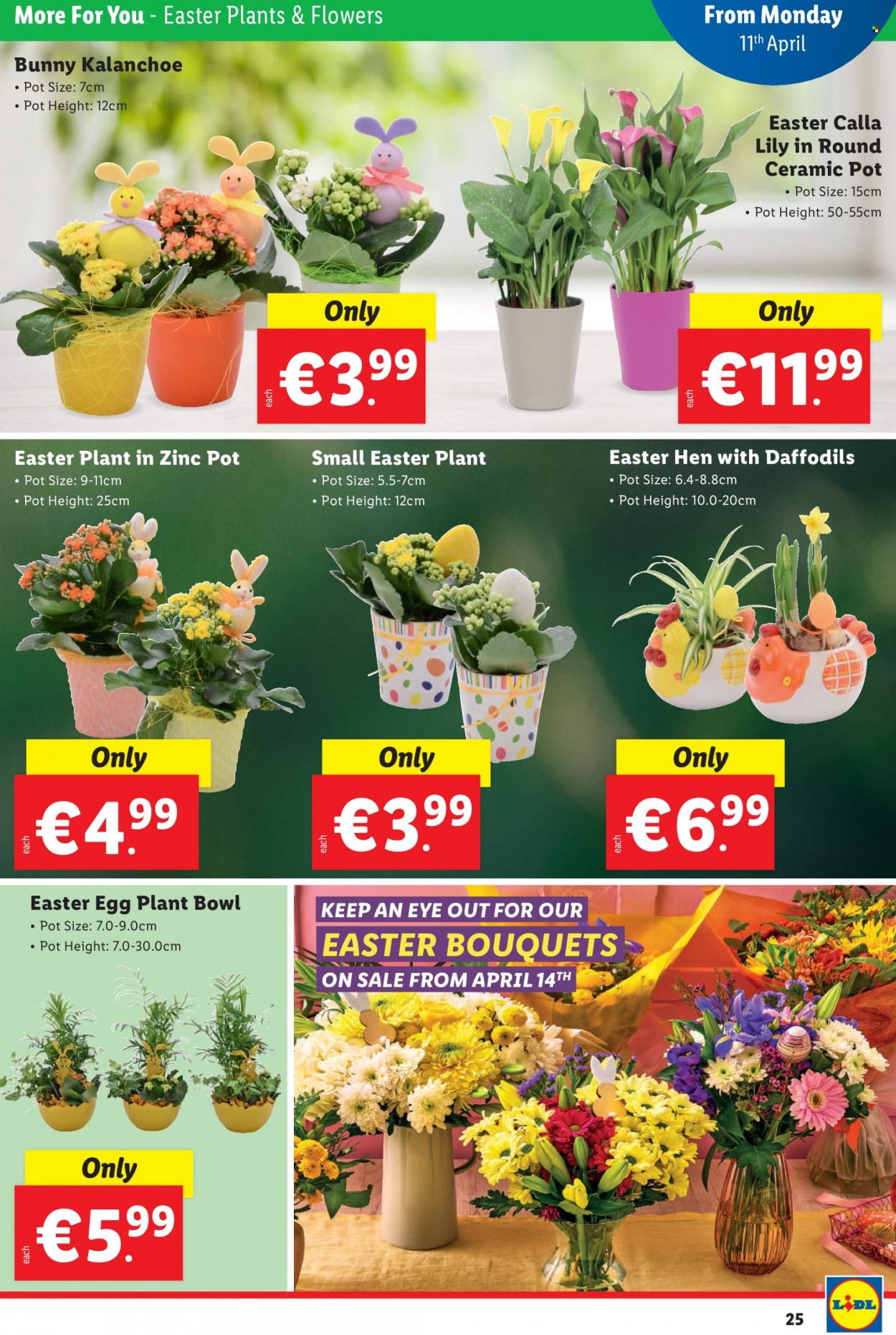 Lidl offer - 07.04.2022 - 13.04.2022. Page 25