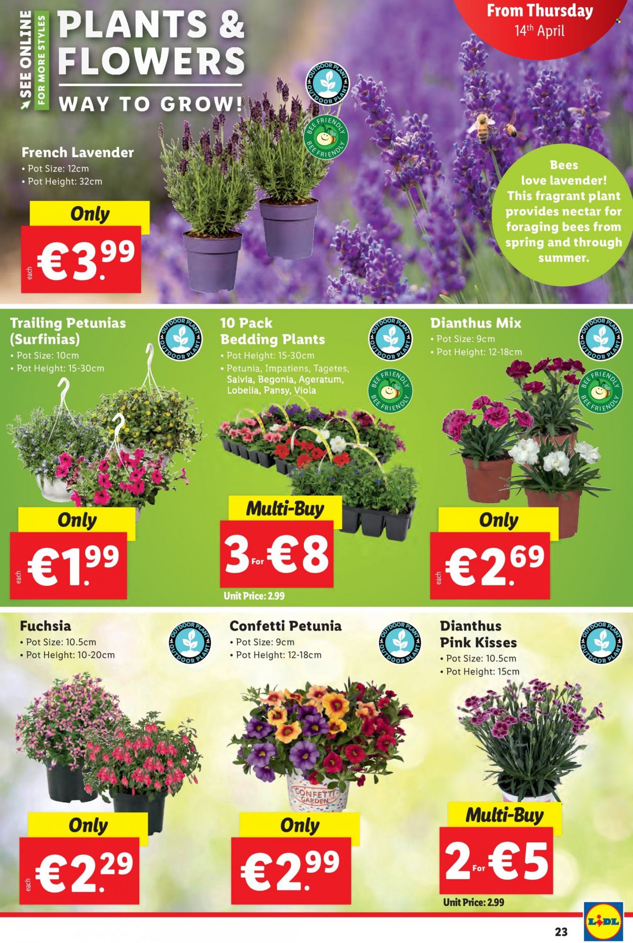 Lidl offer - 14.04.2022 - 20.04.2022. Page 23